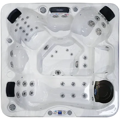 Avalon EC-849L hot tubs for sale in Henderson